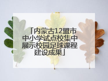 内蒙古12盟市中小学试点校集中展示校园足球课程建设成果