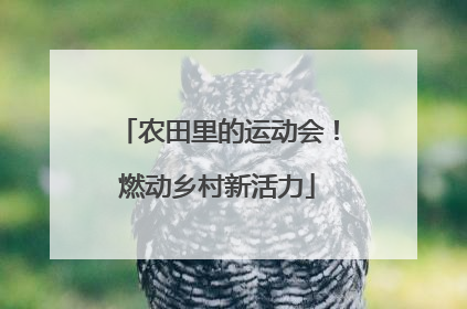 农田里的运动会！燃动乡村新活力