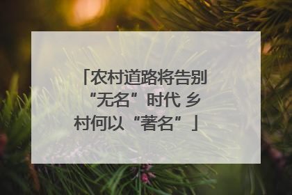 农村道路将告别“无名”时代 乡村何以“著名”
