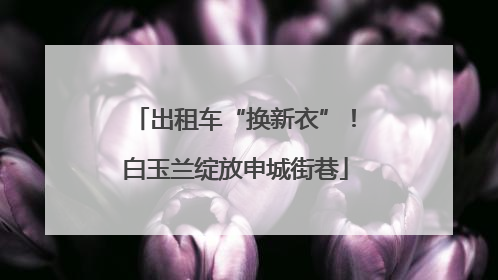 出租车“换新衣”！白玉兰绽放申城街巷