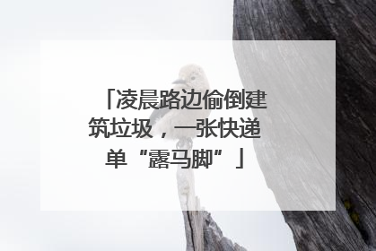 凌晨路边偷倒建筑垃圾，一张快递单“露马脚”