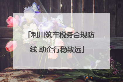 利川筑牢税务合规防线 助企行稳致远