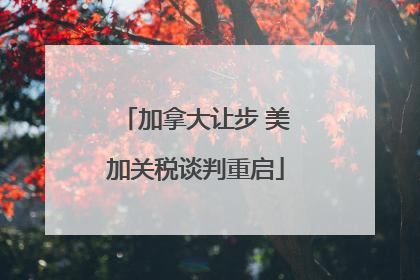加拿大让步 美加关税谈判重启