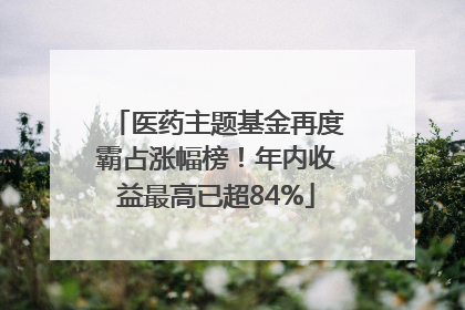 医药主题基金再度霸占涨幅榜！年内收益最高已超84%