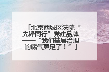 北京西城区法院“先锋同行”党建品牌——“我们基层治理的底气更足了！”