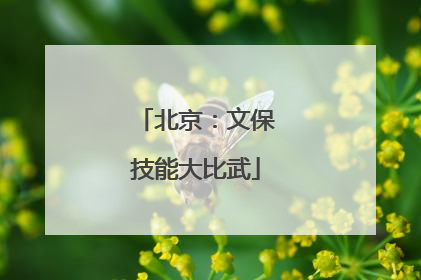 北京：文保技能大比武