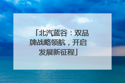 北汽蓝谷：双品牌战略领航，开启发展新征程