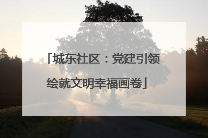 城东社区：党建引领绘就文明幸福画卷