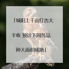城阳上千亩红杏大丰收 预计下周各品种大面积成熟