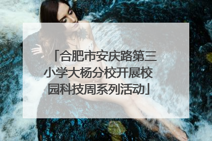 合肥市安庆路第三小学大杨分校开展校园科技周系列活动