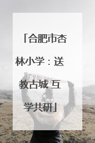 合肥市杏林小学：送教古城 互学共研