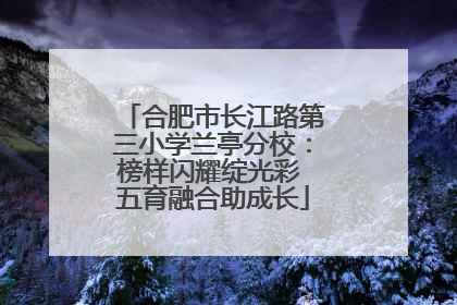 合肥市长江路第三小学兰亭分校：榜样闪耀绽光彩 五育融合助成长