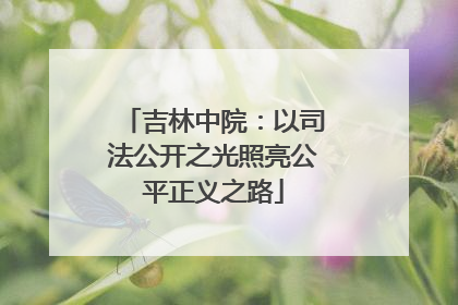 吉林中院：以司法公开之光照亮公平正义之路
