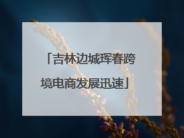 吉林边城珲春跨境电商发展迅速