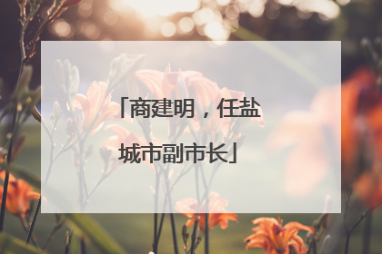 商建明，任盐城市副市长