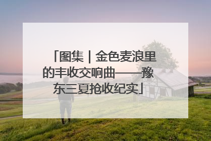 图集｜金色麦浪里的丰收交响曲——豫东三夏抢收纪实