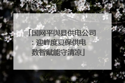 国网平舆县供电公司：迎峰度夏保供电  数智赋能守清凉