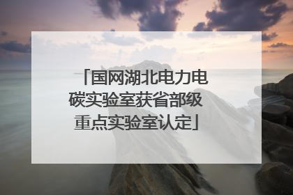 国网湖北电力电碳实验室获省部级重点实验室认定