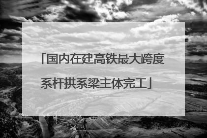 国内在建高铁最大跨度系杆拱系梁主体完工