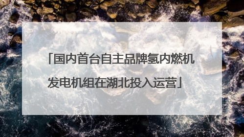 国内首台自主品牌氢内燃机发电机组在湖北投入运营