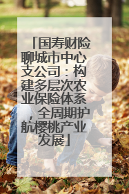 国寿财险聊城市中心支公司：构建多层次农业保险体系，全周期护航樱桃产业发展