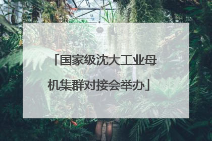 国家级沈大工业母机集群对接会举办