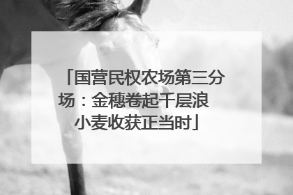 国营民权农场第三分场：金穗卷起千层浪 小麦收获正当时