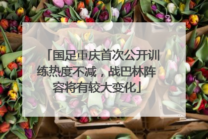 国足重庆首次公开训练热度不减，战巴林阵容将有较大变化