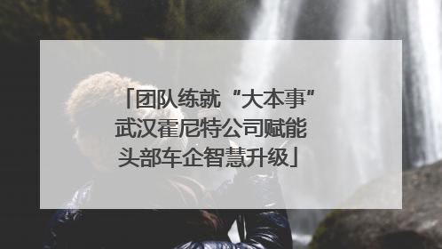 团队练就“大本事” 武汉霍尼特公司赋能头部车企智慧升级