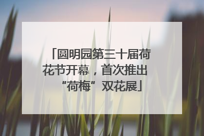 圆明园第三十届荷花节开幕，首次推出“荷梅”双花展