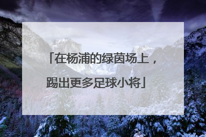 在杨浦的绿茵场上，踢出更多足球小将
