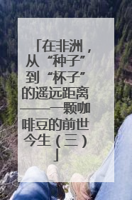 在非洲，从“种子”到“杯子”的遥远距离——一颗咖啡豆的前世今生（三）