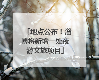 地点公布！淄博将新增一处夜游文旅项目