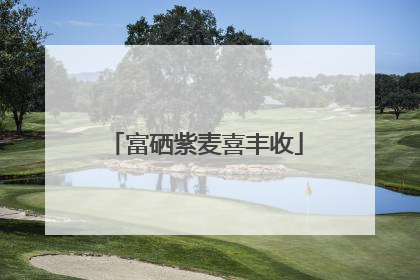 富硒紫麦喜丰收