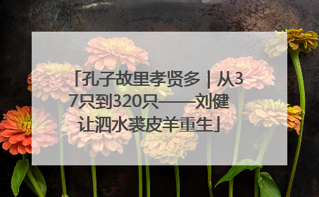 孔子故里孝贤多｜从37只到320只——刘健让泗水裘皮羊重生
