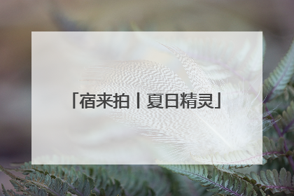 宿来拍丨夏日精灵