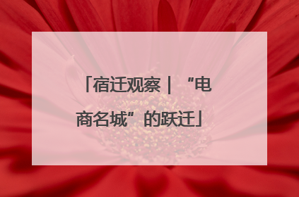 宿迁观察｜“电商名城”的跃迁