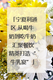 宁夏利通区 从喝牛奶到吃牛奶 汇聚餐饮精英打造“牛乳宴”