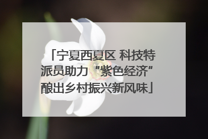 宁夏西夏区 科技特派员助力“紫色经济”酿出乡村振兴新风味