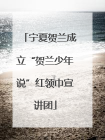 宁夏贺兰成立“贺兰少年说”红领巾宣讲团