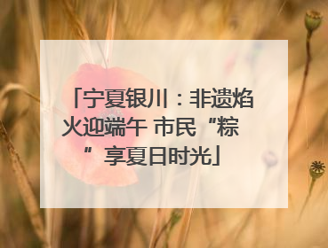 宁夏银川：非遗焰火迎端午 市民“粽”享夏日时光