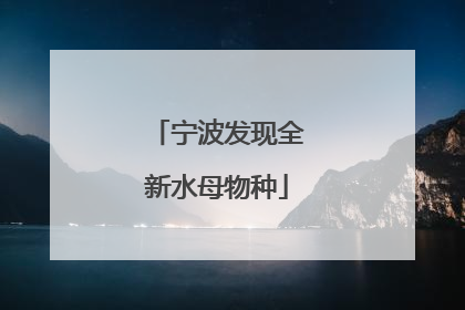宁波发现全新水母物种