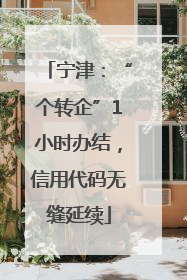 宁津：“个转企”1小时办结，信用代码无缝延续