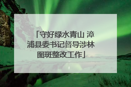 守好绿水青山 漳浦县委书记督导涉林图斑整改工作