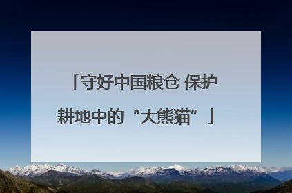 守好中国粮仓 保护耕地中的“大熊猫”