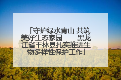 守护绿水青山 共筑美好生态家园——黑龙江省丰林县扎实推进生物多样性保护工作