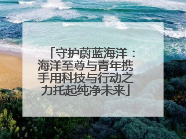 守护蔚蓝海洋：海洋至尊与青年携手用科技与行动之力托起纯净未来