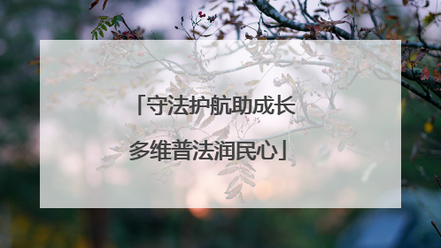 守法护航助成长 多维普法润民心