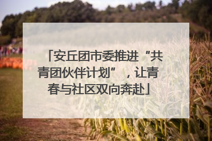 安丘团市委推进“共青团伙伴计划”，让青春与社区双向奔赴