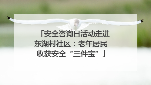 安全咨询日活动走进东湖村社区：老年居民收获安全“三件宝”